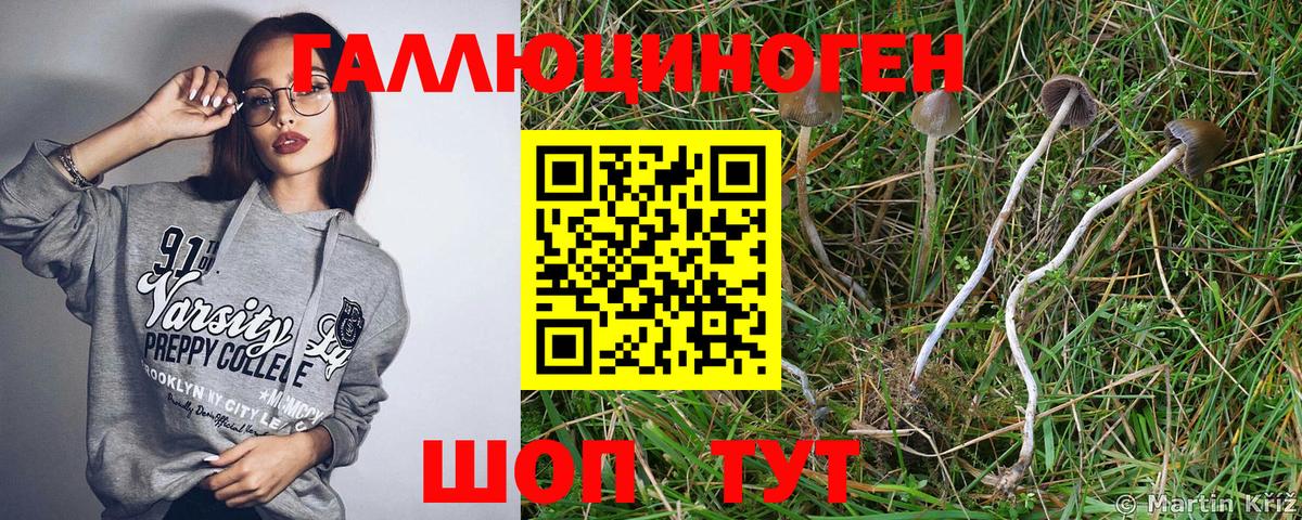 Псилоцибиновые грибы прущие грибы Киров
